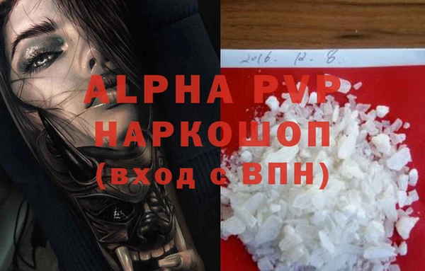 гашик Алексеевка
