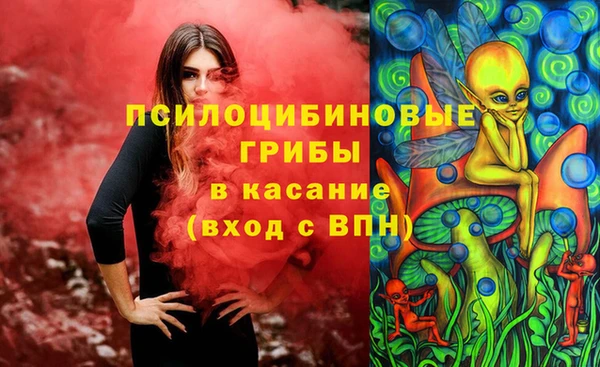 гидропоника Абаза