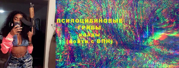гидропоника Абаза
